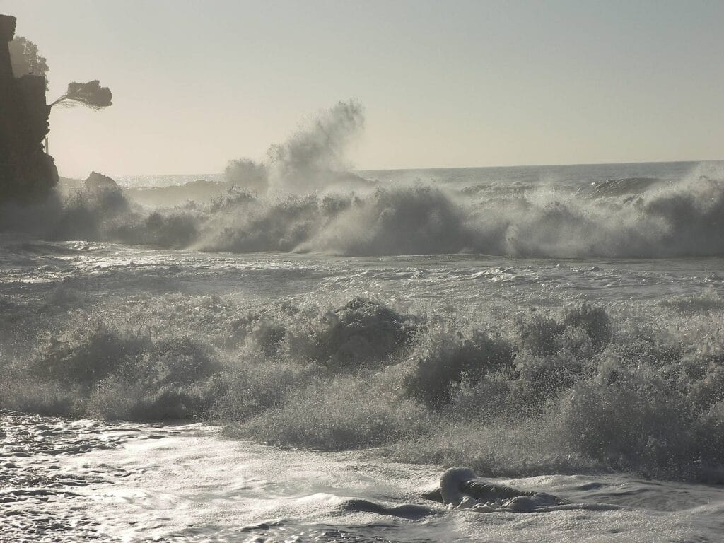 e3302c3c-5798-441c-96fa-3bc2c8b4a9ad