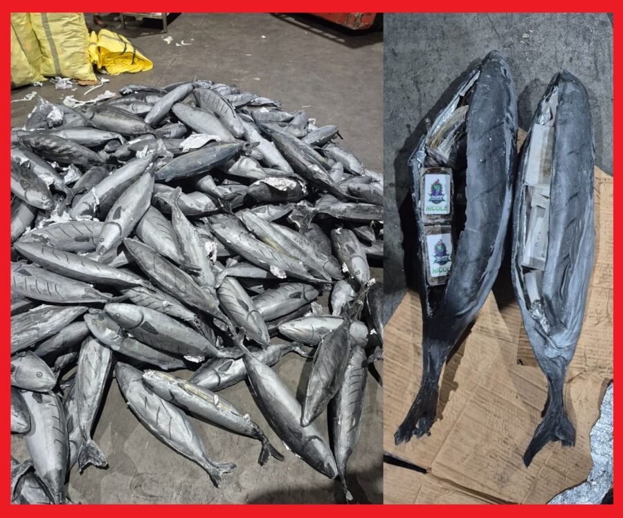 2019dd7a-50bf-4352-99b4-fbe8fc2cbe02