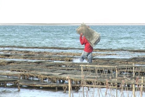 F47613F3-C416-450E-891B-C65BFE1A1353