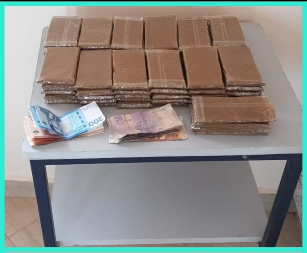 96fd4551-df7d-4d8a-82b2-a887d34cd7c4