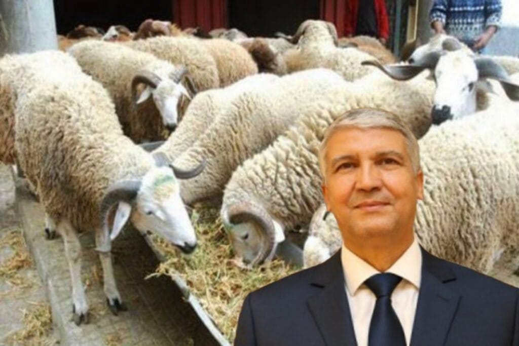 Picsart_24-04-29_20-27-53-927