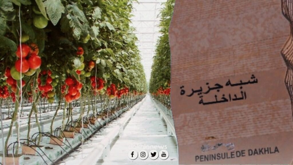 7c0aff7a-492a-4ac2-9350-86fa101c8c8e