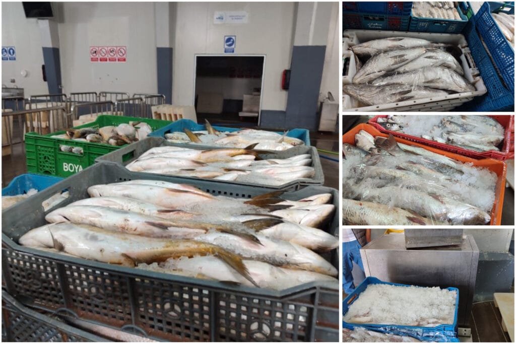 F3CC60F1-1819-4A85-8193-3DD5AD2DAFE1