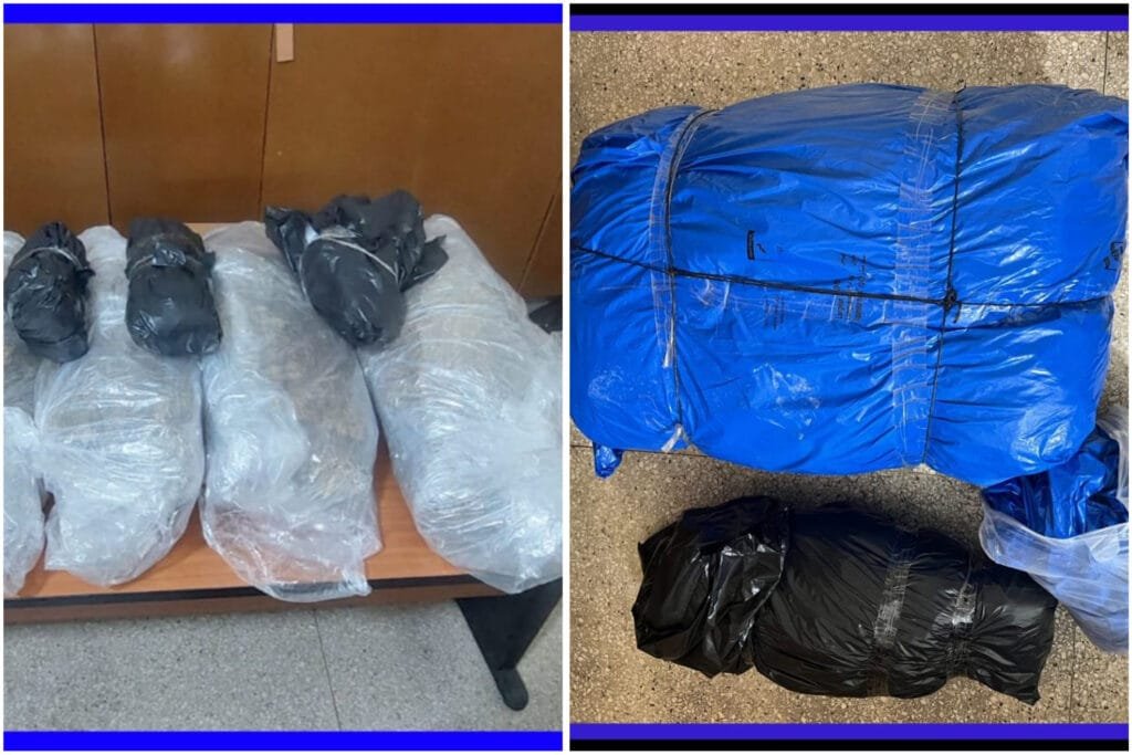 7826FD27-722C-43F3-BB9F-23C3917208A4