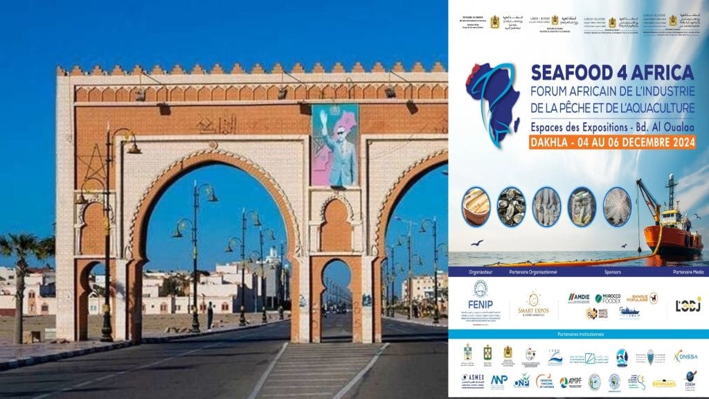 Picsart_24-11-26_19-09-49-104