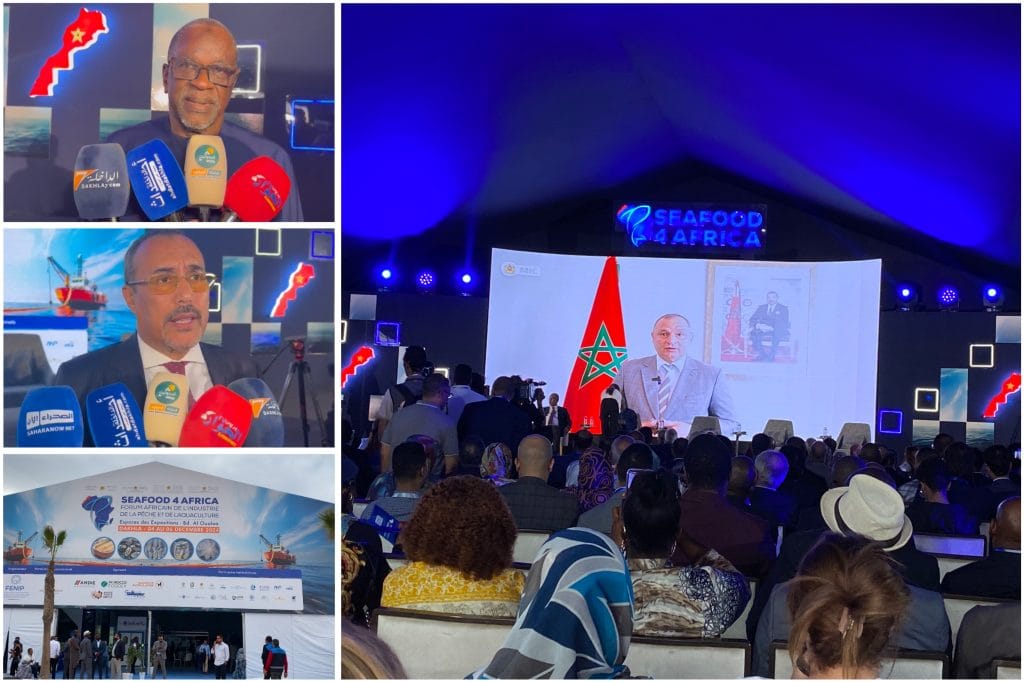 D1F48583-4AC1-4ED2-92BB-4BE24EA7904F