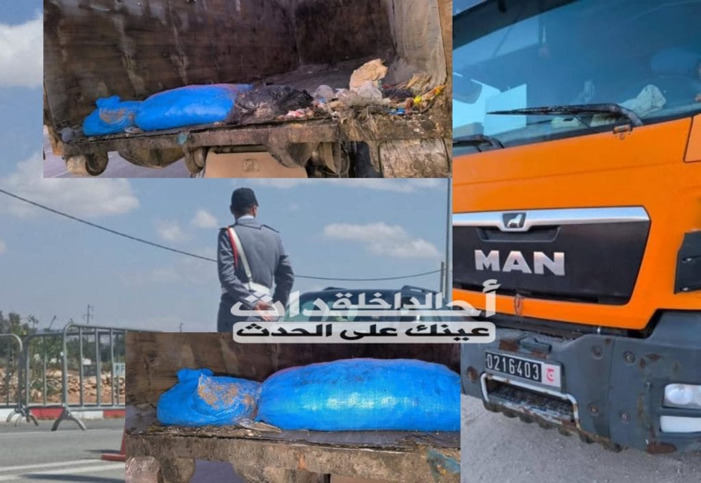 Picsart_25-01-04_23-04-12-317