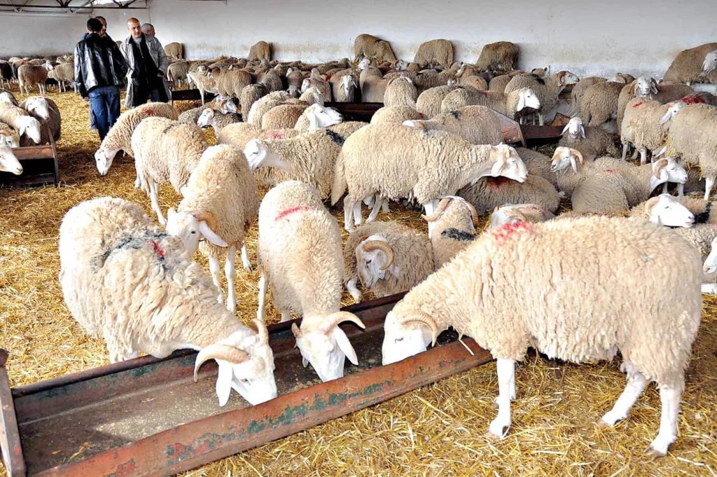 8a30e6d5d5a139b83e4ceac565cb757c6676cb7f-1-1