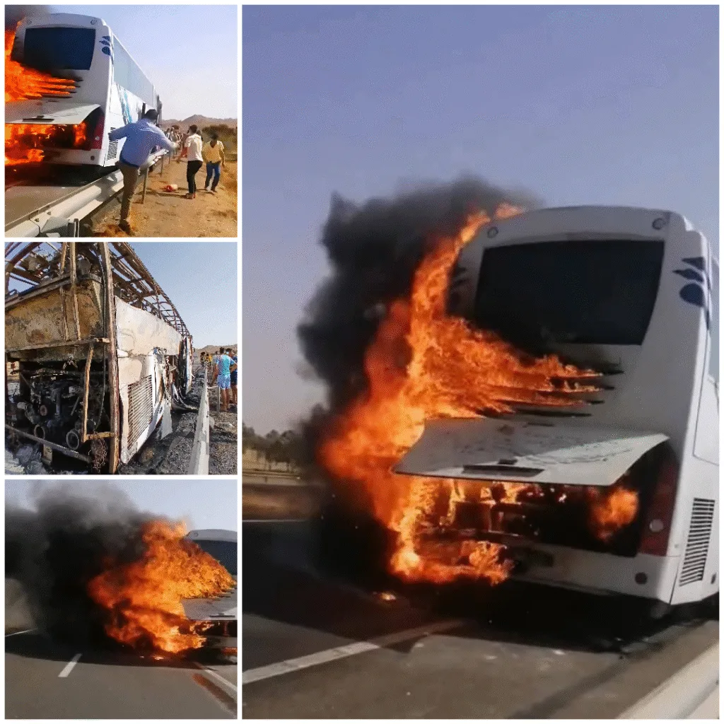 Picsart_25-07-25_22-59-25-810