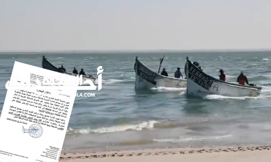 Picsart_25-12-31_13-11-38-671