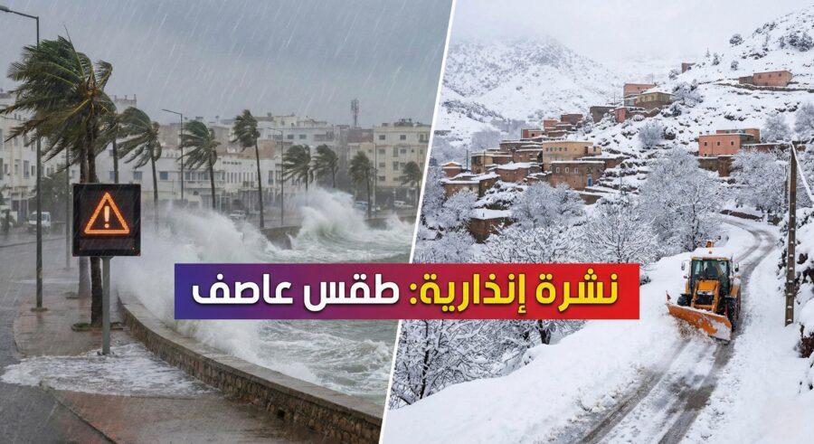 Picsart_26-02-12_14-36-19-123